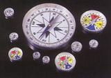 Magnetic Compass :